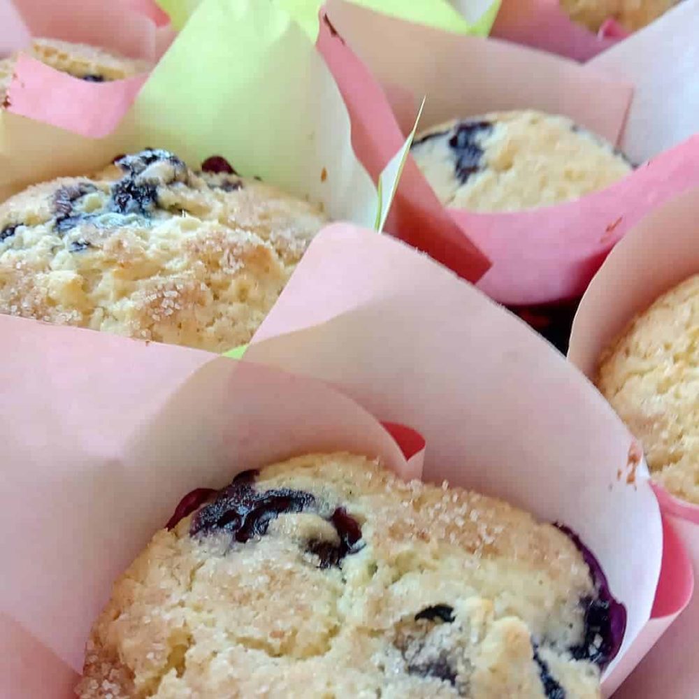 blaubeer muffins