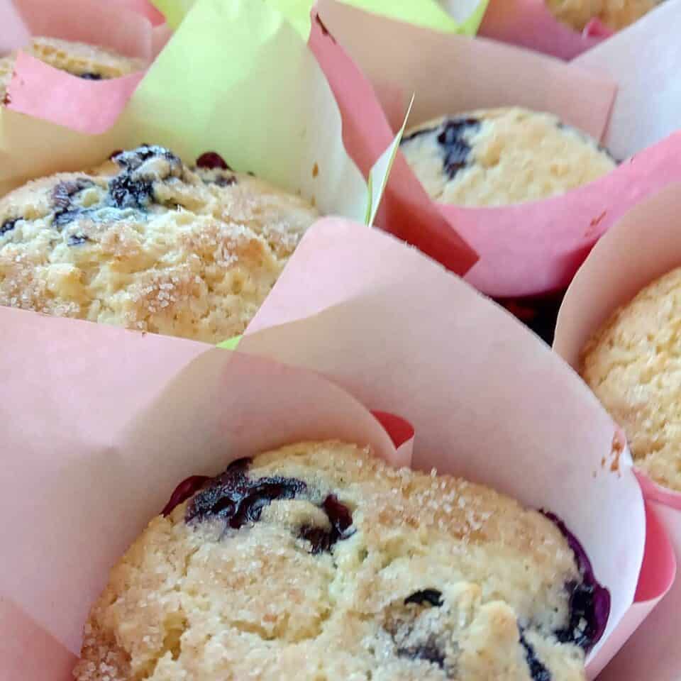 Blaubeer Muffins