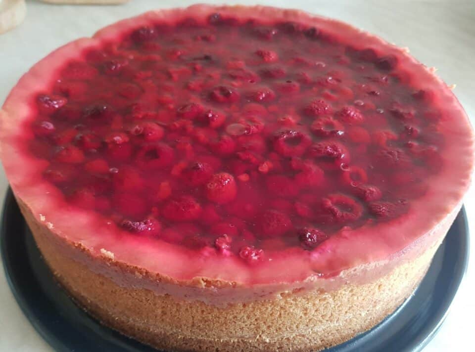 Himbeer-Pudding-Schmandkuchen